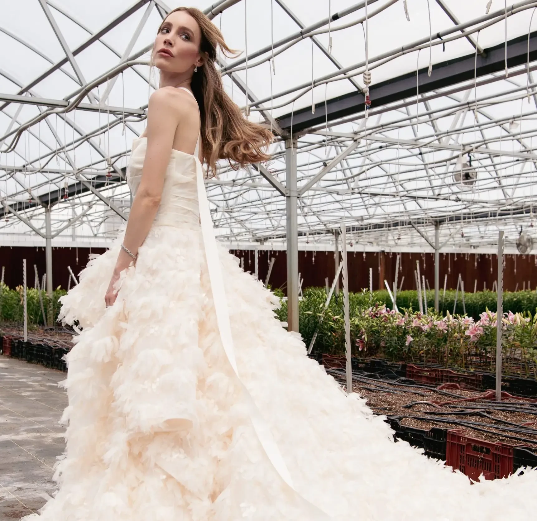 Guillermo Pharis Bridal Trunk Show