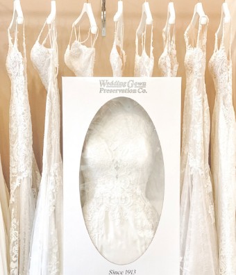 Cleaning and Gown Preservation Style #Cleaning and Gown Preservation #0 default None thumbnail